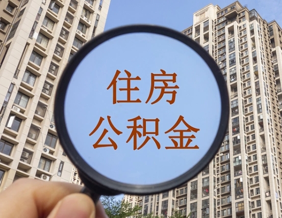 磁县退休后查不到公积金明细了吗（退休后公积金查询不到原因）